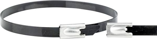 WKK ART006158 Edelstahl-Kabelbinder 200 mm 4.60 mm Schwarz 1 St.