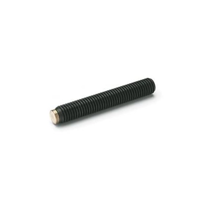 Ganter Norm® - 913.3-M3-8-MS Gewindestifte mit Messing- / Kunststoff-Zapfen, Stahl